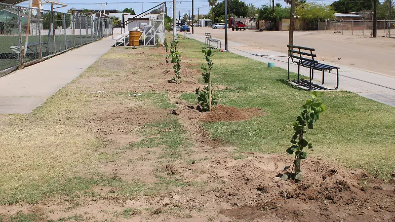Dia mundial del medio ambiente 